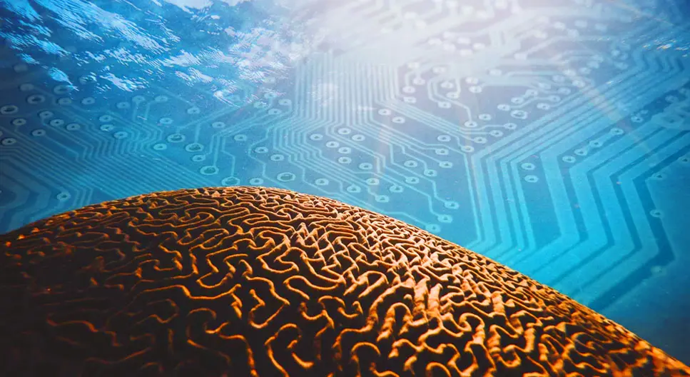 Artificial Intelligence Cryptocurrencies