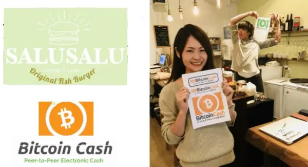BCH adoption